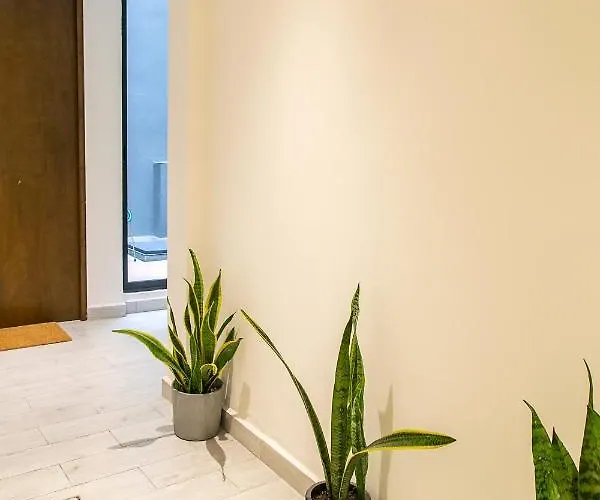 Noma Condesa By Lumina Apartamento *